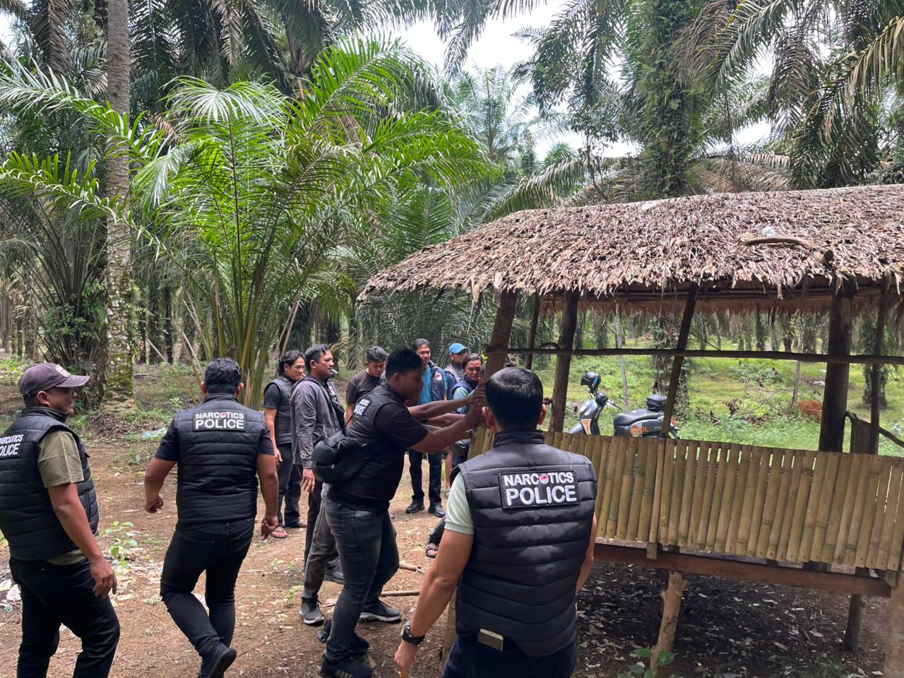 Polres Binjai Kembali Grebek Dan Musnahkan Barak Narkoba Di Kecamatan Selesai