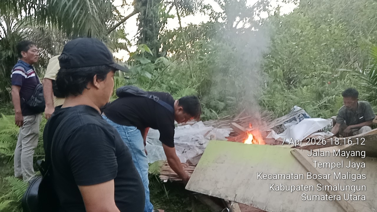 Polsek Bosar Maligas Nyatakan Perang Narkoba: Lapak Haram Di Perladangan Nagori Boluk Digerebek Dan Dibakar Rata Dengan Tanah!