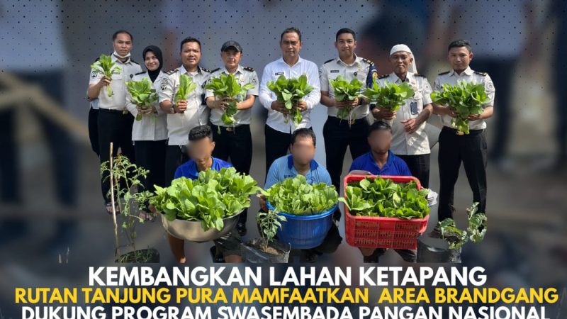 Rutan Tanjung Pura Optimalkan Lahan Ketapang dan Brandgang, Dukung Swasembada Pangan Nasional