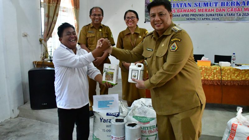 Bupati Samosir Serahkan Bantuan Bibit untuk Pengembangan Cabai dan Bawang Merah