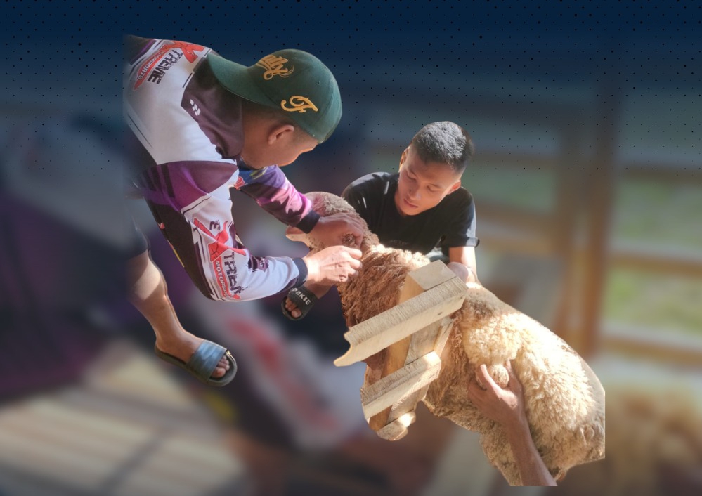 Rutan Tanjung Pura Lakukan Penyuntikan Vitamin dan Obat Cacing untuk Ternak Kambing