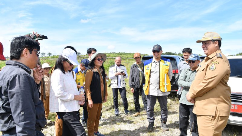 Bupati Vandiko Siapkan Samosir Jadi Sentra Bawang Putih, Gandeng Pemerintah Pusat