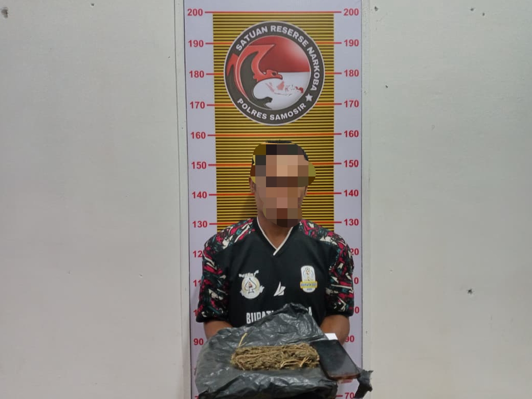 Polres Samosir Ringkus Dua Pria Pemilik Ganja di Pangururan