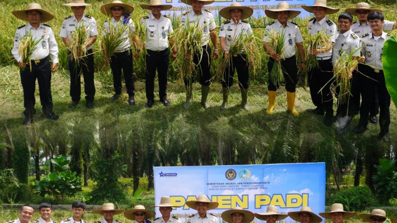 Karutan Tanjung Pura Ikuti Panen Padi di Lapas Narkotika Langkat, Dukung Ketahanan Pangan