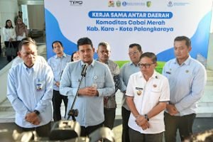 Kirim 1,050 Ton Cabai Merah ke Palangkaraya, Bobby Nasution Dorong Kesejahteraan Petani Karo