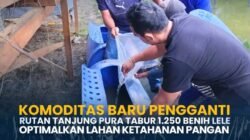 Komoditas Baru Pengganti Rutan Tanjung Pura Tabur 1.250 Benih Lele Optimalkan lahan ketahanan pangan