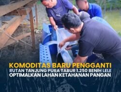 Komoditas Baru Pengganti Rutan Tanjung Pura Tabur 1.250 Benih Lele Optimalkan lahan ketahanan pangan