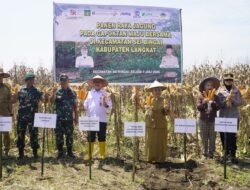 OJK Sumut Dorong Klaster Kemitraan Jagung Langkat untuk Perluas Akses Pembiayaan Petani