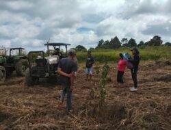 Tanah Pangguruan Milik Jamilun Sihotang Diolah, Alas Hak Diperkuat Putusan PN 2006 dan SHM