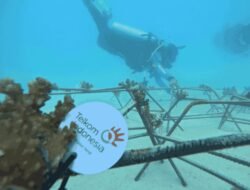 Telkom Restorasi Terumbu Karang di Pulau Buru Lewat Program “Bisa Biru” demi Jaga Ekosistem Pesisir Maluku