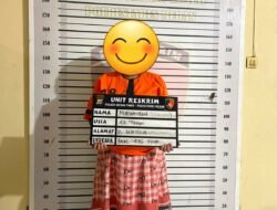 ‎Polsek Medan Timur Tangkap ‎Seorang IRT Pencuri Hp