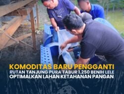 Komoditas Baru Pengganti Rutan Tanjung Pura Tabur 1.250 Benih Lele Optimalkan lahan ketahanan pangan