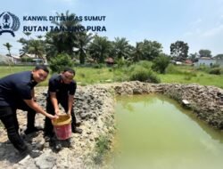 Komoditas Dilahan Ketapang Kian Beragam Rutan Tanjung Pura Tebar 100 Benih Ikan Nila di Kolam Baru