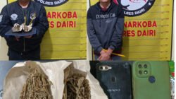 Kurir dan Pengedar Ganja di Bintang Mersada Berhasil Dibekuk Polres Dairi