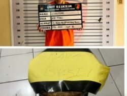 Tim Opsnal Reskrim Polsek Medan Timur Tangkap Seorang Pelaku Penganiayaan di Kelurahan Gang Buntu