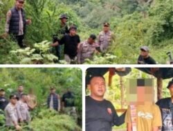 Berawal dari Informasi Warga, Polisi Langkat Ungkap 11 Batang Ganja di Perladangan