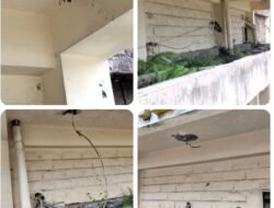 Kapolrestabes Medan Diminta Serius Tangkap Maling Pembobol Kantor PWI Sumut