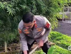 Peringati HUT RI ke-81, Kapolres Binjai Tanam Pohon Binjai di Mapolres