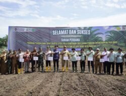 PTPN IV PalmCo Dorong Peremajaan Sawit Rakyat Disertai Tanam Padi Gogo di Asahan
