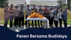 Panen Bersama Budidaya Jagu Pakar Ternak Di sarana Asimilasi Edukasi Lapas Pemuda lll Langkat