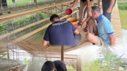 Penaburan Tahap Kedua, Rutan Tanjung Pura Sukses Tabur 2000 Benih Ikan Lele di Lahan Ketahanan Pangan