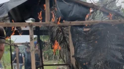 Polres Binjai Bakar Lokasi Diduga Barak Narkoba di Ladang Jagung