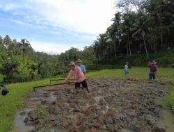 Dua Tahun Kabinet Merah Putih, Kementerian ATR/BPN Catat RDTR Terintegrasi OSS Bertambah Jadi 576 dan Usulan LP2B Lampaui Target RPJMN