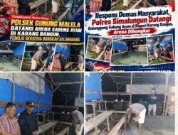 Polsek Gunung Malela tindak lanjuti dumas sabung ayam, pemilik bongkar arena